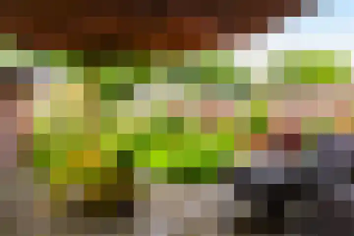 Prins Bernhardlaan 34 Brummen thumbnail 21