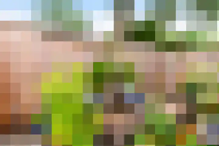Prins Bernhardlaan 34 Brummen thumbnail 24