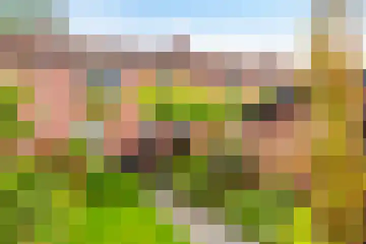 Prins Bernhardlaan 34 Brummen thumbnail 27