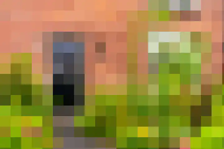 Prins Bernhardlaan 34 Brummen thumbnail 31