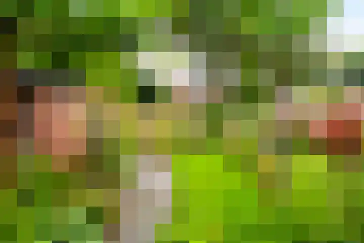 Prins Bernhardlaan 34 Brummen thumbnail 5