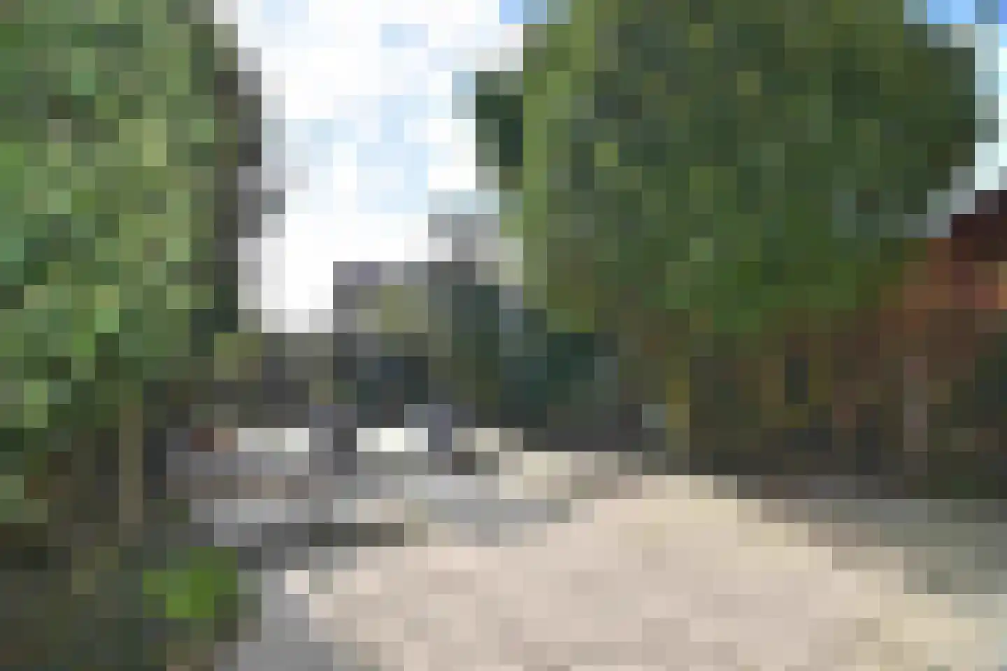 Prins Bernhardlaan 34 Egmond aan den Hoef thumbnail 37