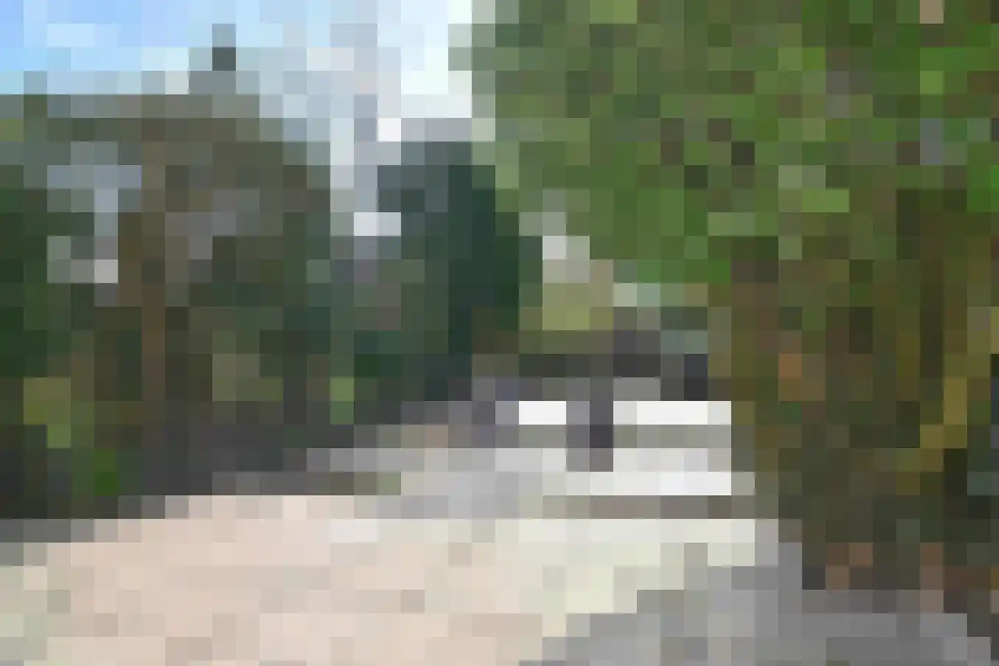 Prins Bernhardlaan 34 Egmond aan den Hoef thumbnail 38