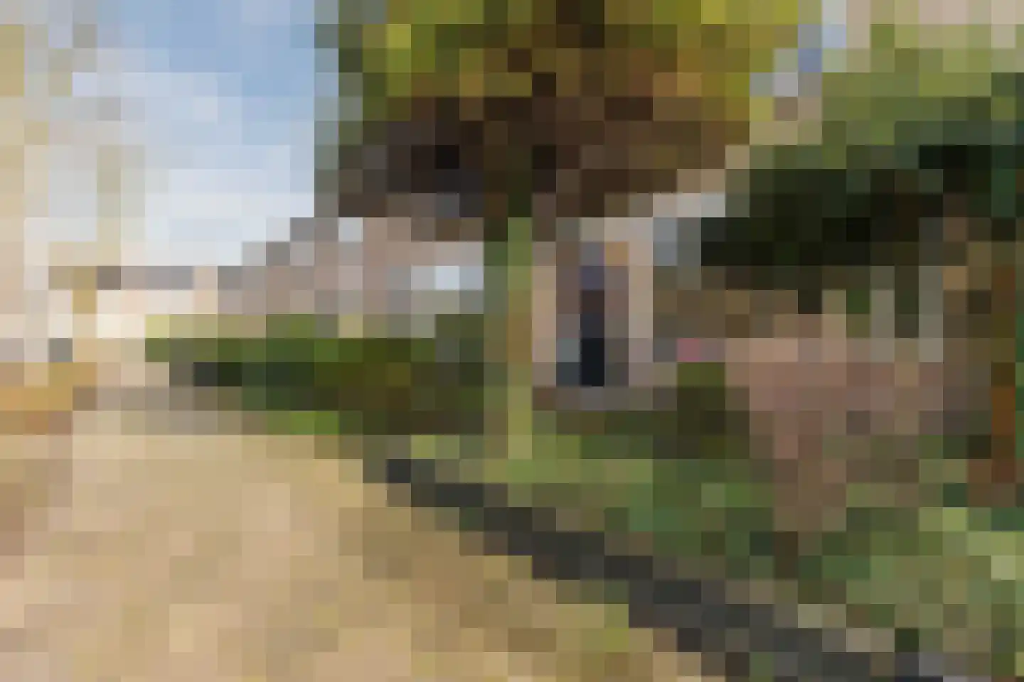 Prins Bernhardlaan 34 Egmond aan den Hoef thumbnail 5