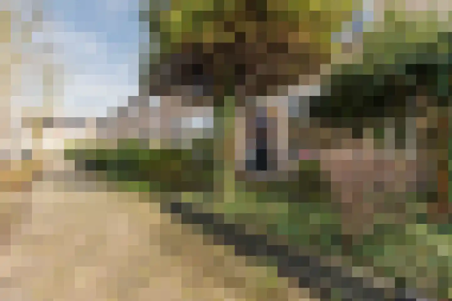 Prins Bernhardlaan 34 Egmond aan den Hoef thumbnail 5