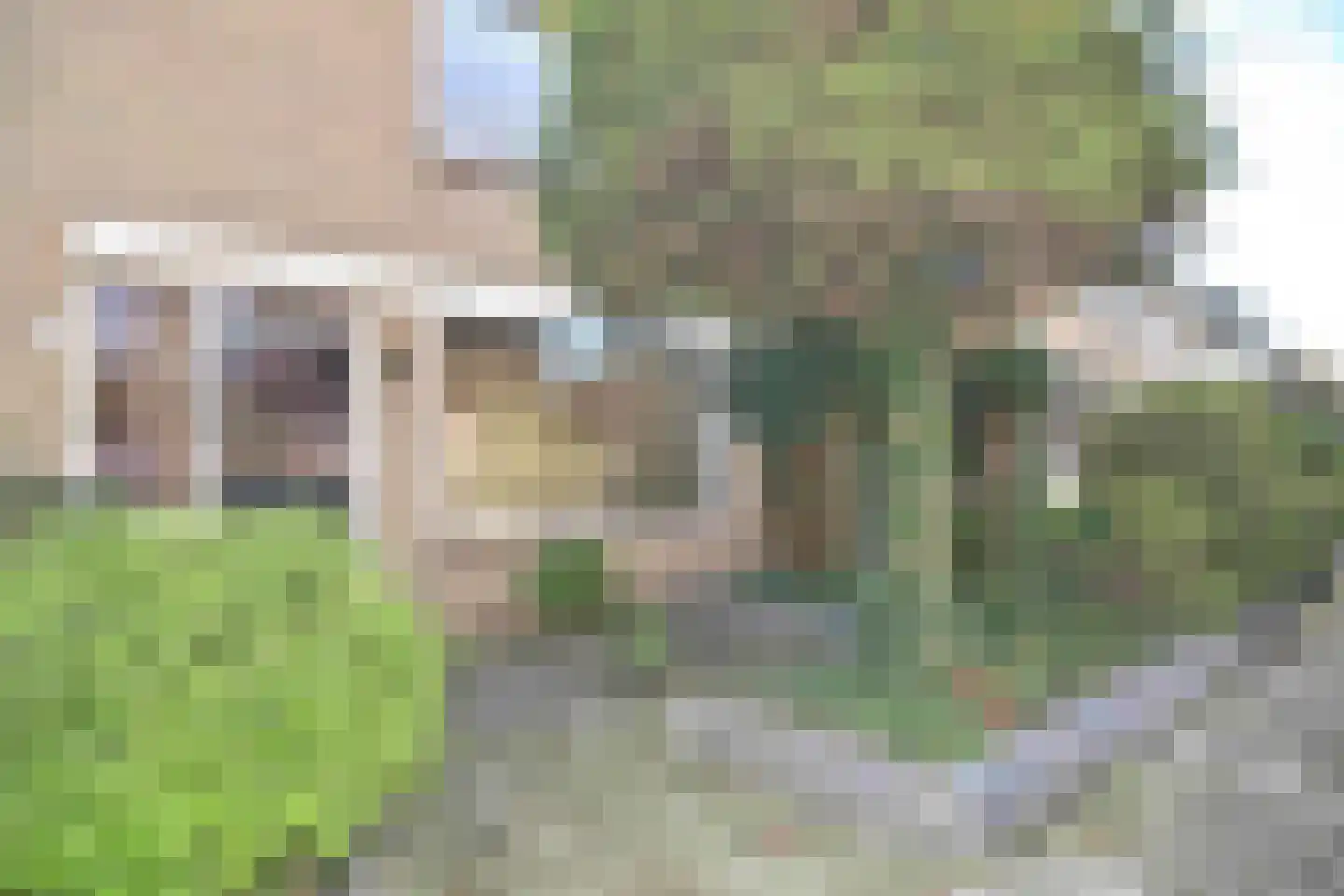 Prins Bernhardlaan 34 Egmond aan den Hoef thumbnail 6