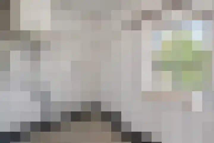Prins Bernhardlaan 34 Vught thumbnail 24