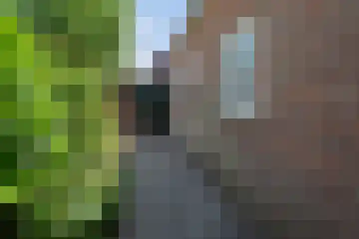 Prins Bernhardlaan 34 Vught thumbnail 27