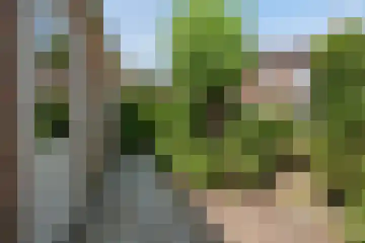 Prins Bernhardlaan 34 Vught thumbnail 28