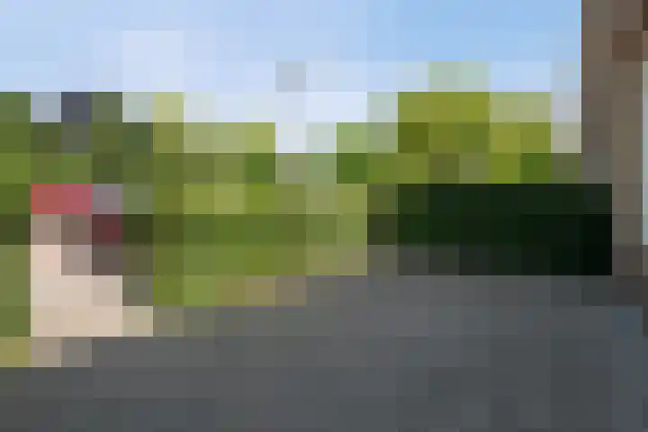 Prins Bernhardlaan 34 Vught thumbnail 30