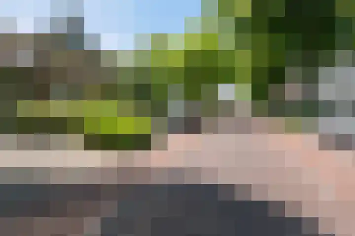 Prins Bernhardlaan 34 Vught thumbnail 31