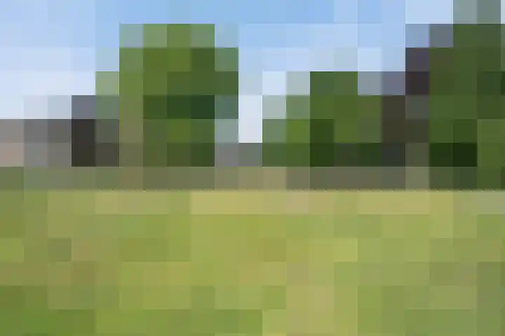 Prins Bernhardlaan 34 Vught thumbnail 32