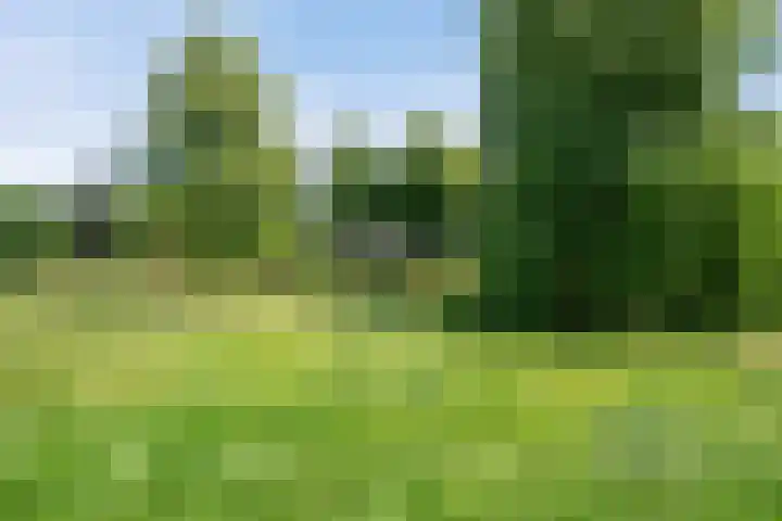 Prins Bernhardlaan 34 Vught thumbnail 33