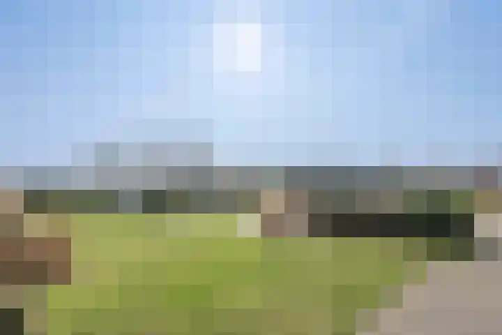 Prins Bernhardlaan 340 Katwijk thumbnail 50