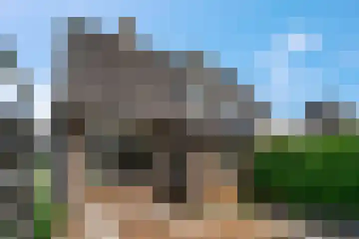 Prins Bernhardlaan 35 Amerongen thumbnail 26