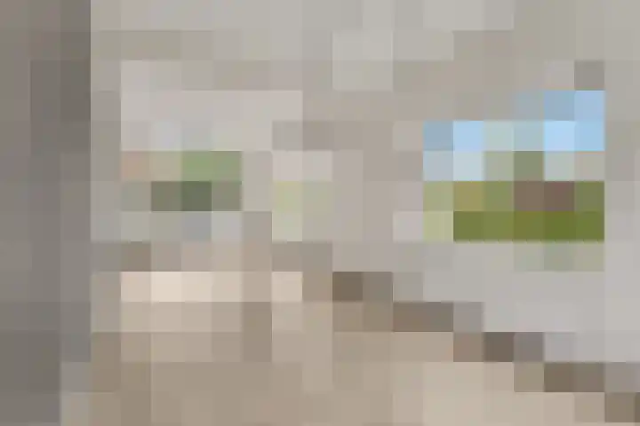 Prins Bernhardlaan 35 Amerongen thumbnail 6