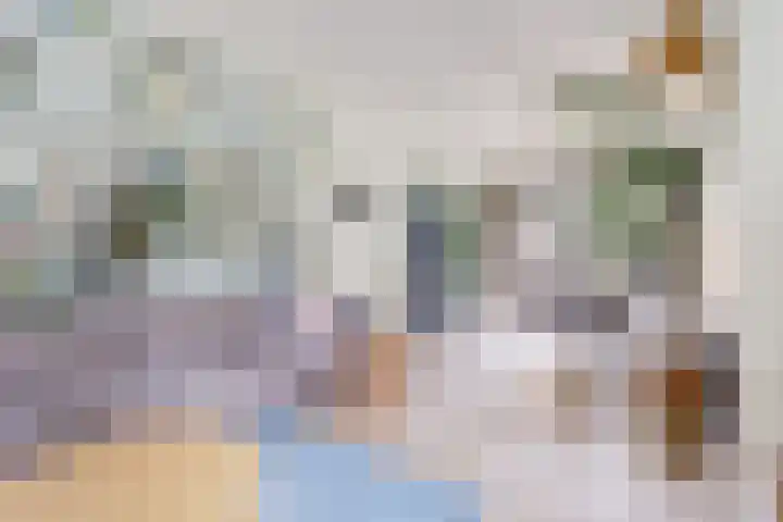Prins Bernhardlaan 36 Zutphen thumbnail 10