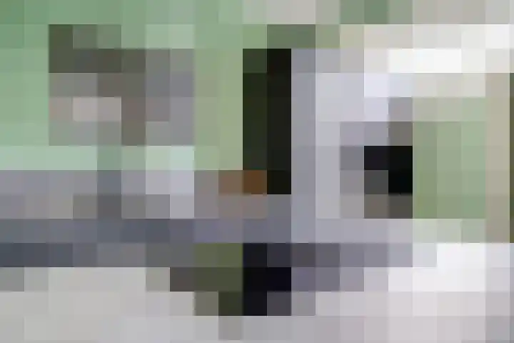 Prins Bernhardlaan 36 Zutphen thumbnail 12