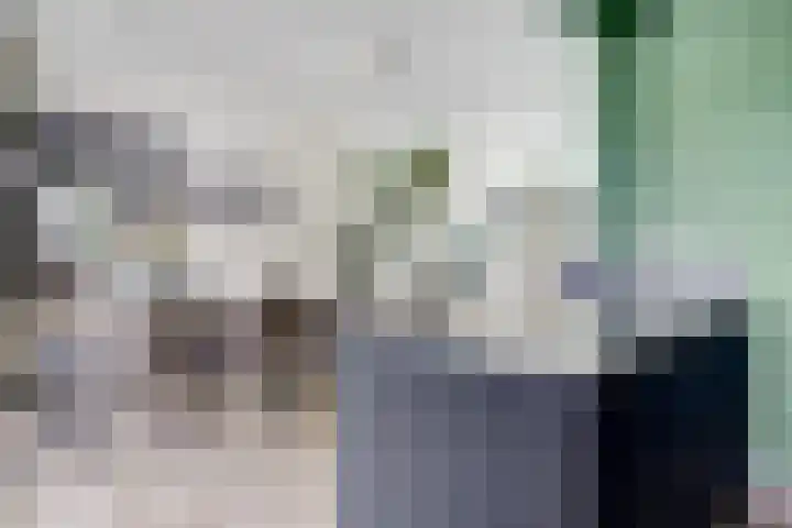 Prins Bernhardlaan 36 Zutphen thumbnail 13