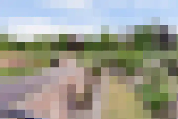 Prins Bernhardlaan 36 Zutphen thumbnail 20