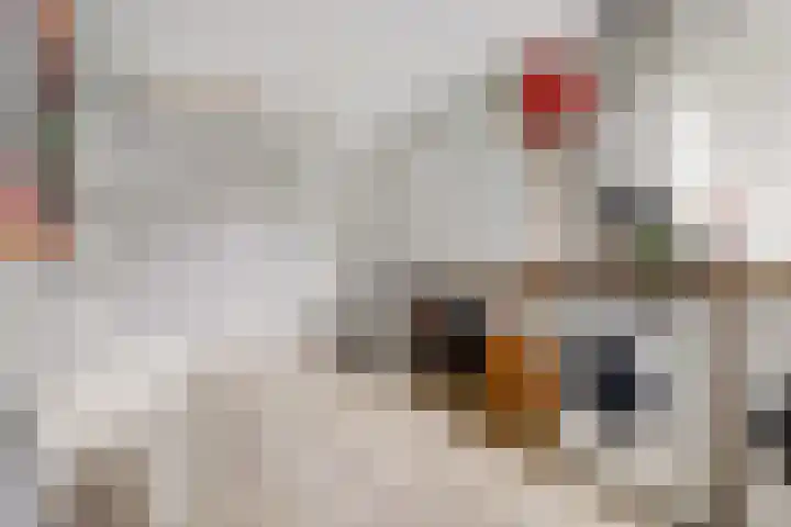 Prins Bernhardlaan 36 Zutphen thumbnail 31