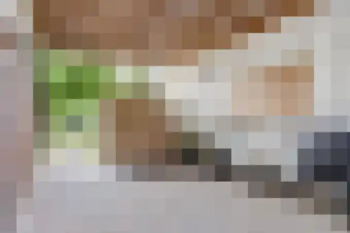 Prins Bernhardlaan 36 Zutphen thumbnail 35