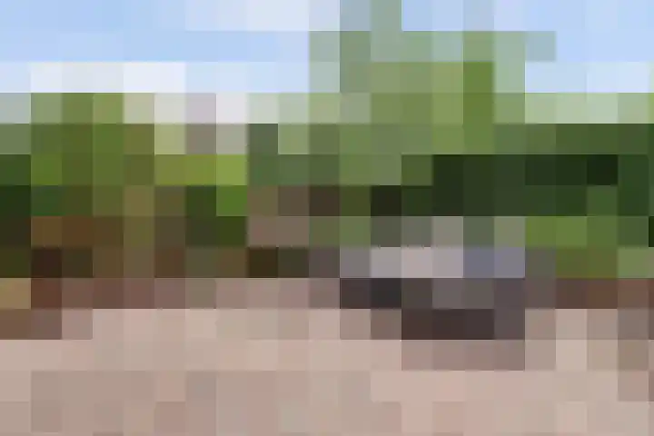 Prins Bernhardlaan 36 Zutphen thumbnail 36
