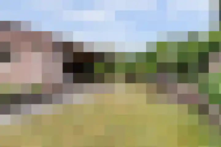 Prins Bernhardlaan 36 Zutphen thumbnail 37