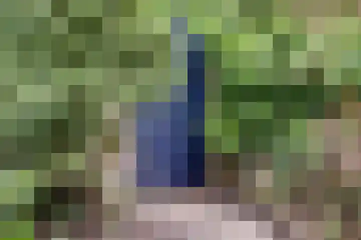 Prins Bernhardlaan 36 Zutphen thumbnail 38