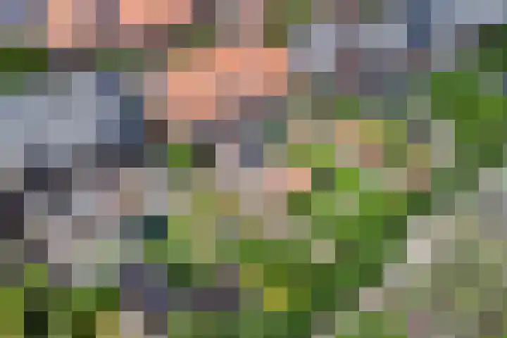 Prins Bernhardlaan 36 Zutphen thumbnail 4