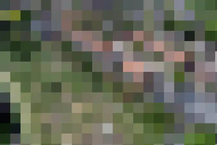 Prins Bernhardlaan 36 Zutphen thumbnail 42