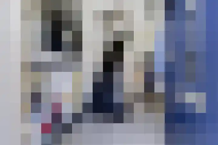 Prins Bernhardlaan 36 Zutphen thumbnail 6