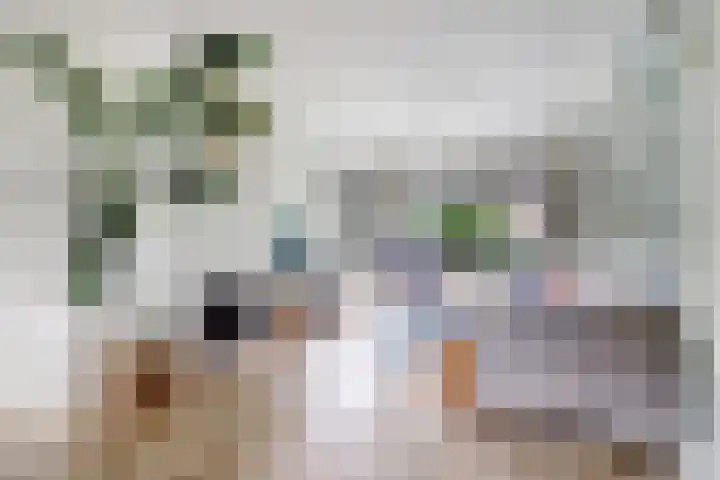 Prins Bernhardlaan 36 Zutphen thumbnail 8