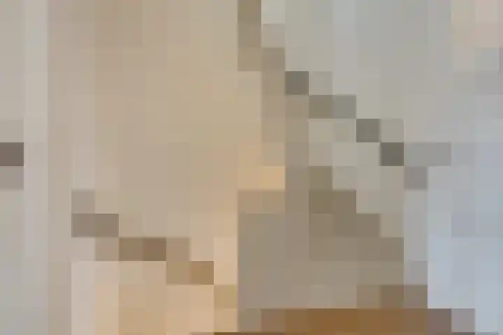 Prins Bernhardlaan 37 BS Utrecht thumbnail 29