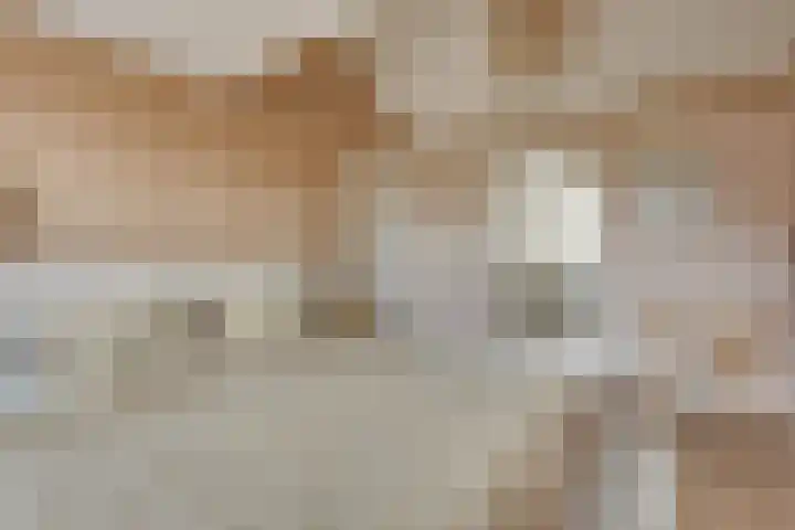 Prins Bernhardlaan 37 BS Utrecht thumbnail 34