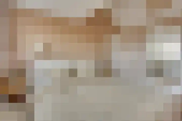 Prins Bernhardlaan 37 BS Utrecht thumbnail 4