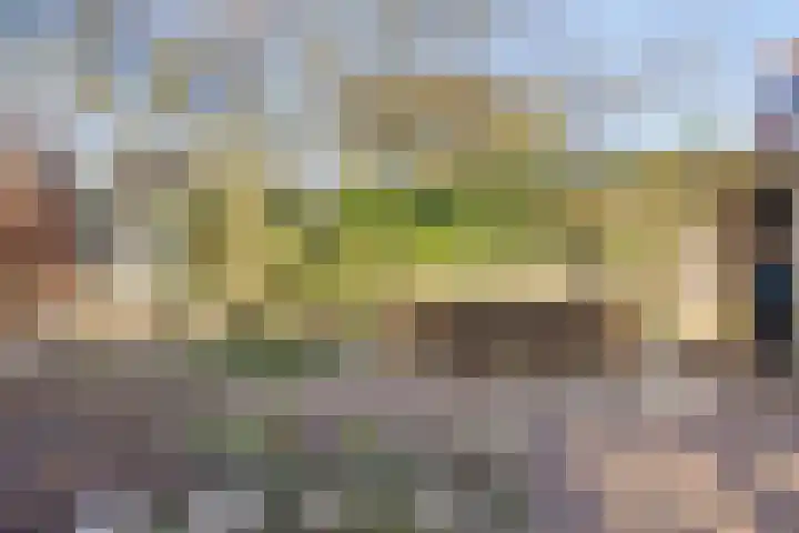 Prins Bernhardlaan 37 Zutphen thumbnail 17