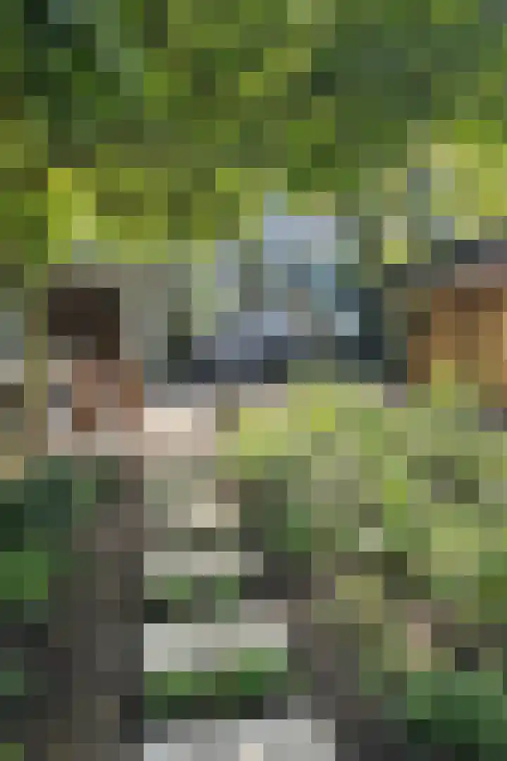 Prins Bernhardlaan 37 Zutphen thumbnail 19