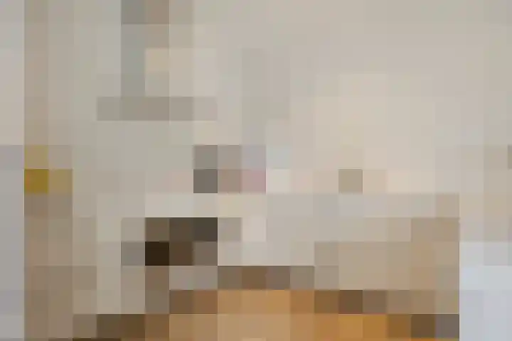 Prins Bernhardlaan 37 Zutphen thumbnail 22