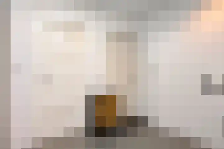 Prins Bernhardlaan 37 Zutphen thumbnail 25