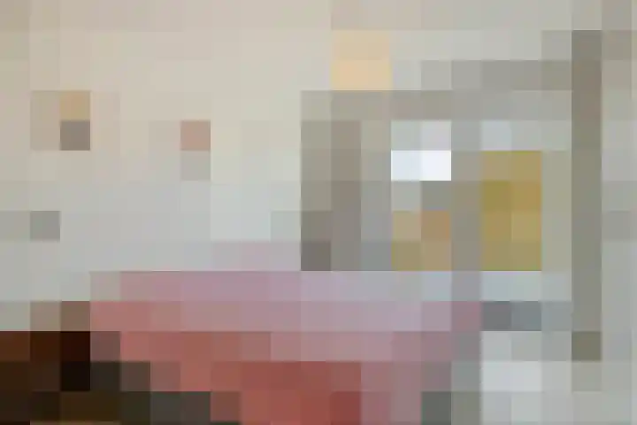 Prins Bernhardlaan 37 Zutphen thumbnail 30