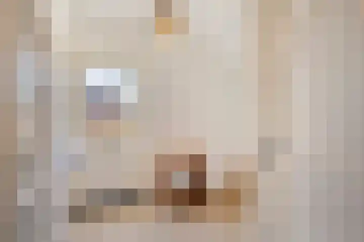 Prins Bernhardlaan 37 Zutphen thumbnail 39