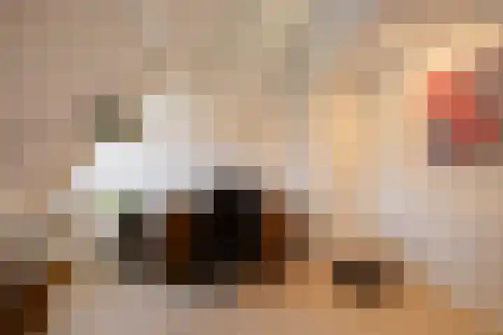 Prins Bernhardlaan 37 Zutphen thumbnail 44