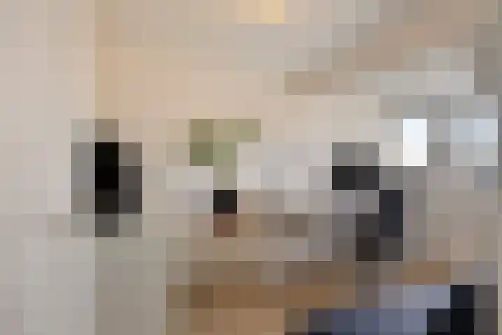 Prins Bernhardlaan 37 Zutphen thumbnail 46