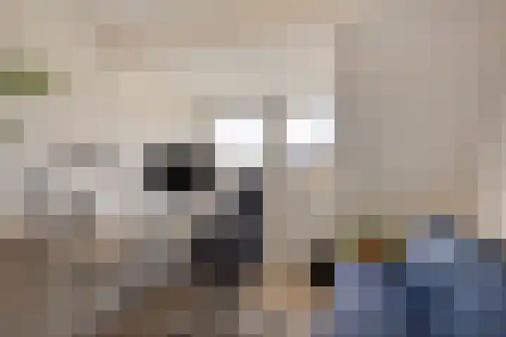 Prins Bernhardlaan 37 Zutphen thumbnail 47