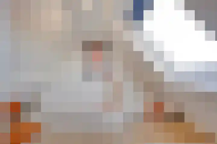 Prins Bernhardlaan 37 Zutphen thumbnail 52