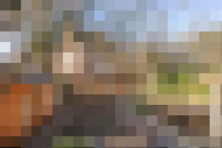 Prins Bernhardlaan 37 Zutphen thumbnail 53