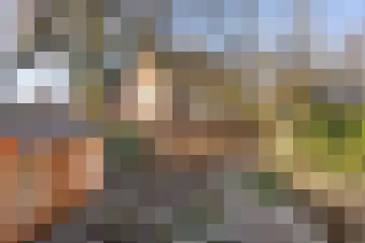 Prins Bernhardlaan 37 Zutphen thumbnail 54