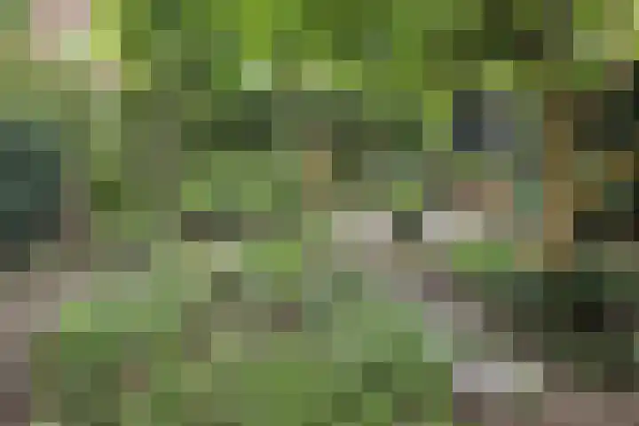Prins Bernhardlaan 37 Zutphen thumbnail 55