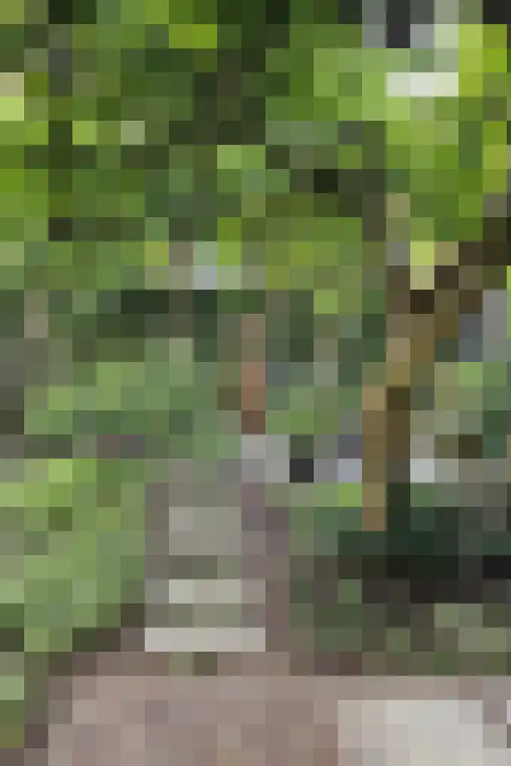 Prins Bernhardlaan 37 Zutphen thumbnail 57